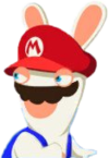 Rabbid Mario Portrait