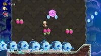 The first 10-flower coin in Bulrush Express in Super Mario Bros. Wonder