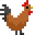 Rooster