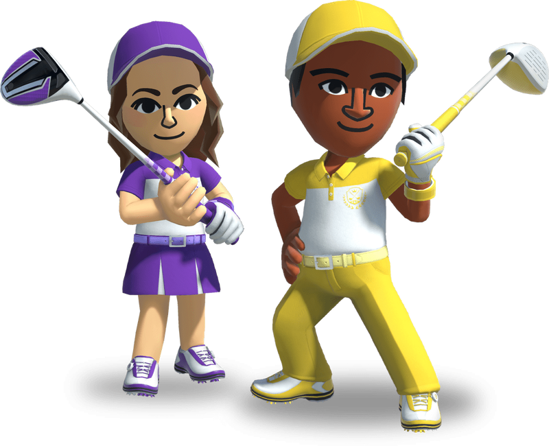 Pair Minigame, Wii Sports Wiki