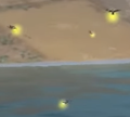 Fireflies[conjectural]