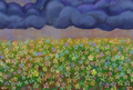 Background used in Flower Fields