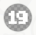 19