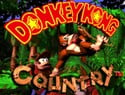 Screenshot of image for "Theme" from Donkey Kong Country on Nintendo Music.