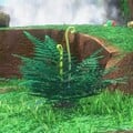 Super Mario Odyssey (fern from the Cascade Kingdom)
