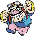 Wario