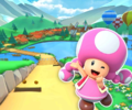 The course icon of the R variant with Toadette
