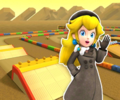 The course icon of the R variant with Peach (Wintertime)