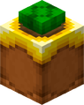 Decorated Pot