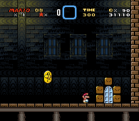 Warp Door - Super Mario Wiki, the Mario encyclopedia