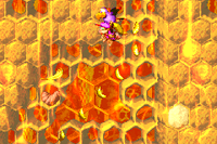Parrot Chute Panic GBA Golden Feather.png