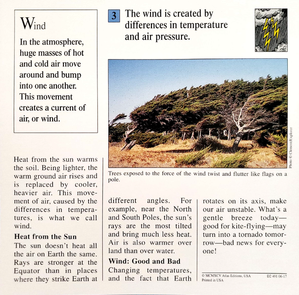 File:Wind quiz card back.png