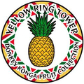 Pineapple badge