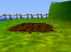 A dirt pile with Kong Family emblem