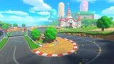 View of the ending U-bend on DS Mario Circuit