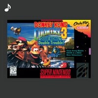 Cover image for the Top tracks playlist for Donkey Kong Country 3: Dixie Kong's Double Trouble! on Nintendo Music