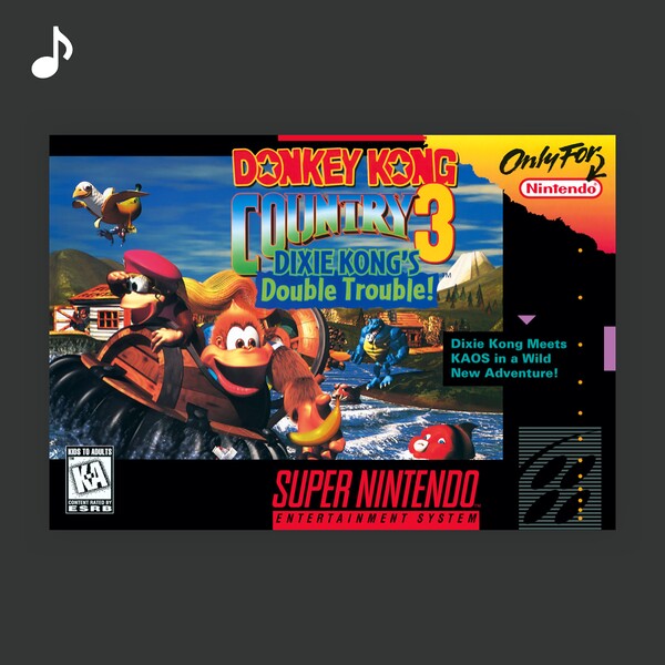 File:NM DKC3 Top tracks PL.jpg