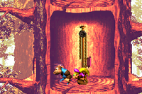 Springin Spiders DKC3 GBA 2.png