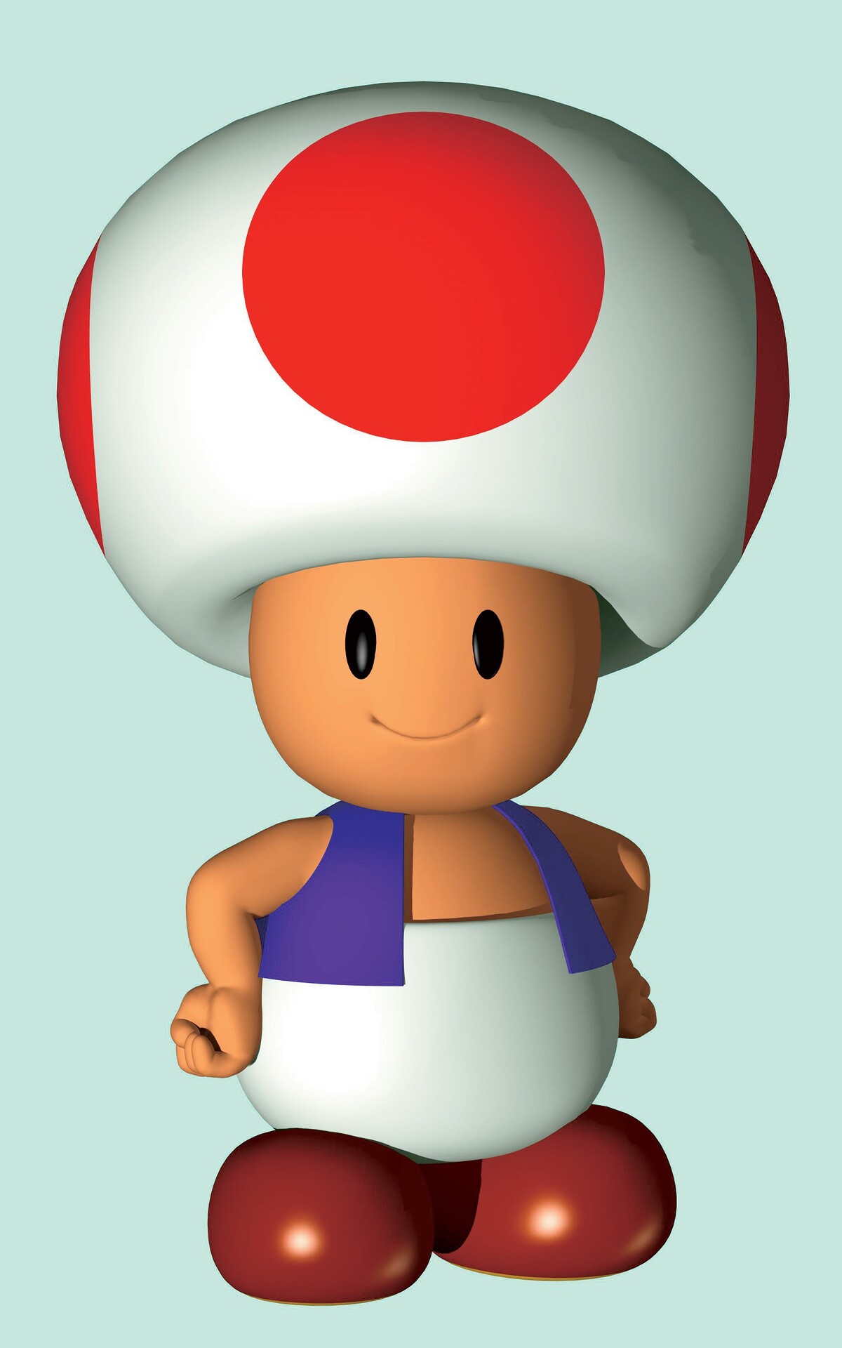 File:Toadarmscrossed.jpg - Super Mario Wiki, the Mario encyclopedia