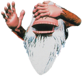 Cranky Kong
