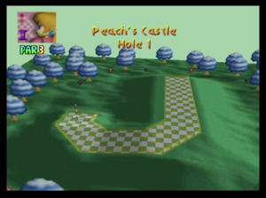 The first hole of Peach's Castle from Mario Golf (Nintendo 64)