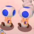 Double Toad in Super Mario 3D World