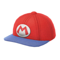 The Fashionable Cap