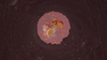 Thumbnail for version as of 22:04, September 19, 2025