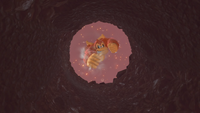 Donkey Kong Bananza