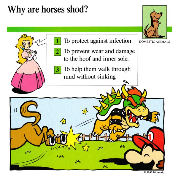 File:Horses shod quiz card.jpg