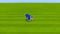 Minecraft (Cat Toad)