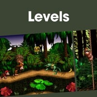 Cover image for the Levels playlist for Donkey Kong Country on Nintendo Music