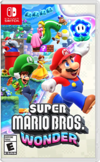 Super Star, Newer Super Mario Bros. Wiki