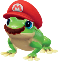 SMO Frog Capture.png