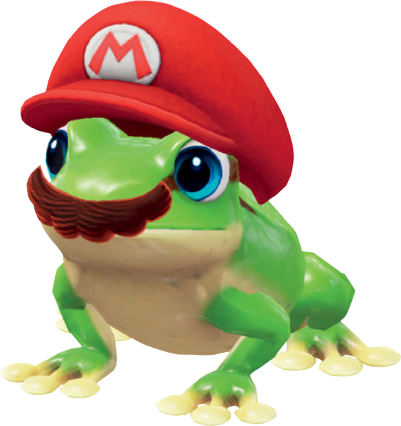 File:SMO Frog Capture.png