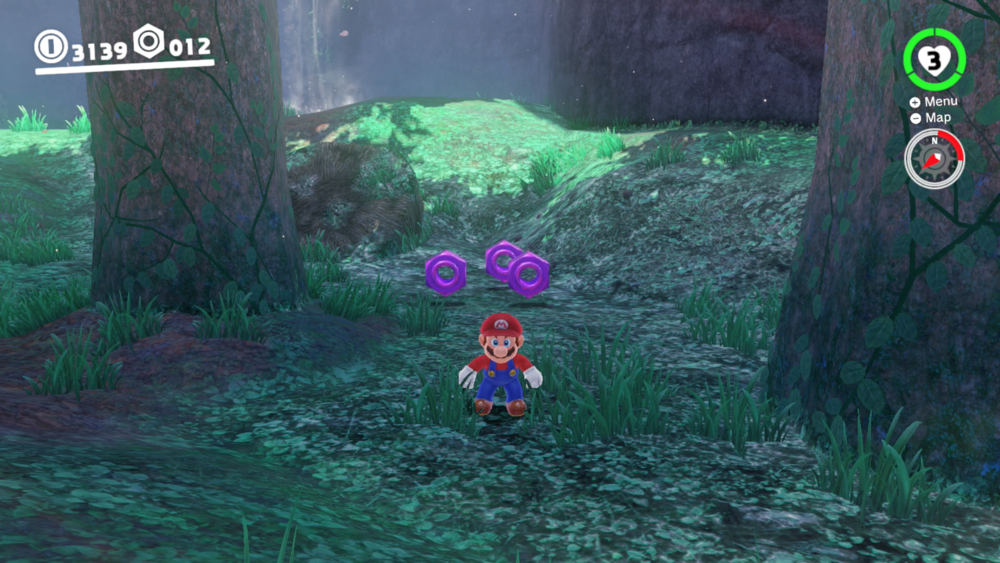 List of regional coins in the Wooded Kingdom Super Mario Wiki, the