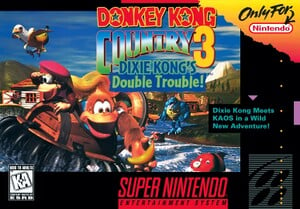 donkey kong and diddy kong game