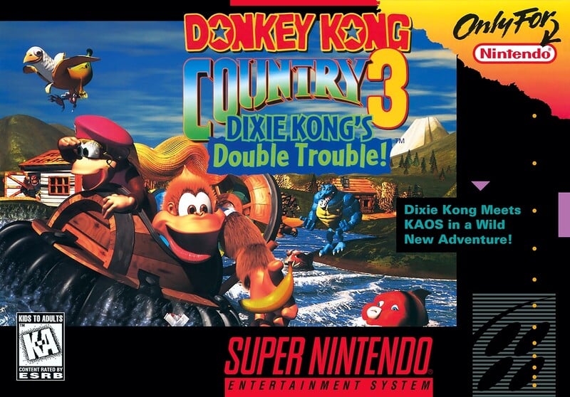 Dixie Kong - Super Mario Wiki, the Mario encyclopedia
