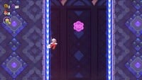 The second 10-flower coin in Color-Switch Dungeon in Super Mario Bros. Wonder