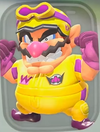 Pro Racer
