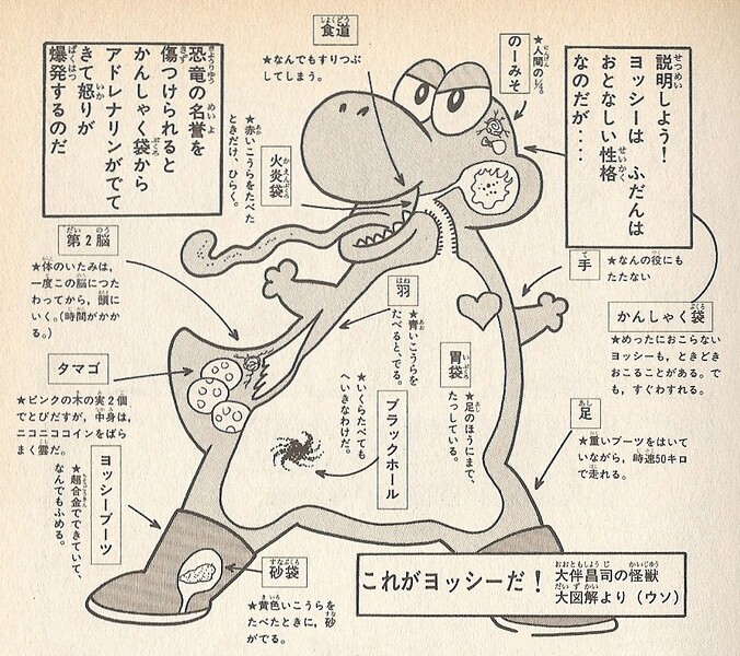 File:Yoshi's anatomy SMW6.jpg