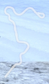 DK Pass to Dandelion Depths