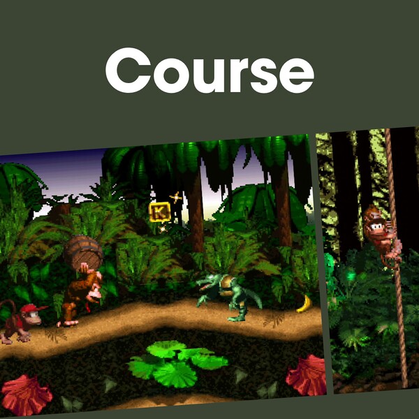 File:NM DKC Levels PL JP.jpg