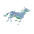 A running horse