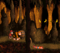 The Kongs stand at the beginning of the level.