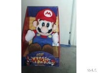 A plush of Mario.