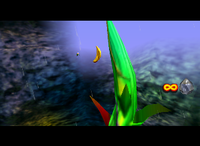 A Golden Banana for Tiny Kong in Fungi Forest.