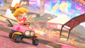 Baby Peach in the Biddybuggy