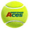 A tennis ball from Mario Tennis Aces