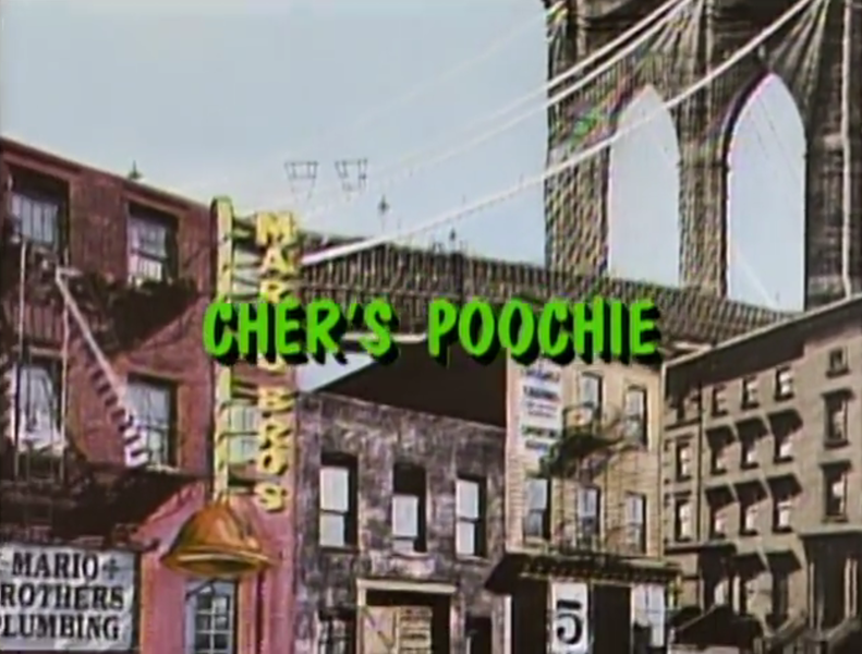 File:TSMBSS Cher's Poochie title card.png